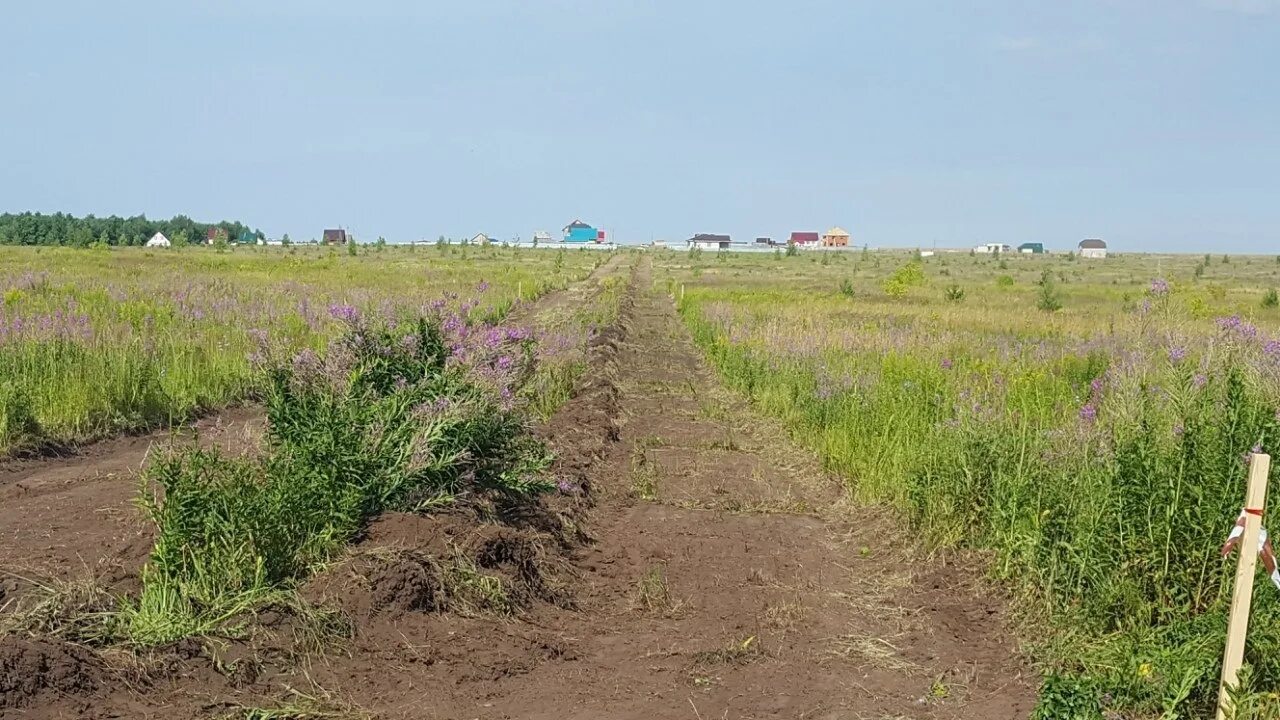 Старые кены улица ижевская. Расписание электричек ижевск. Ижевск кены расписание. Деревня кена. Сапсан ижевск-глазов расписание автобусов.