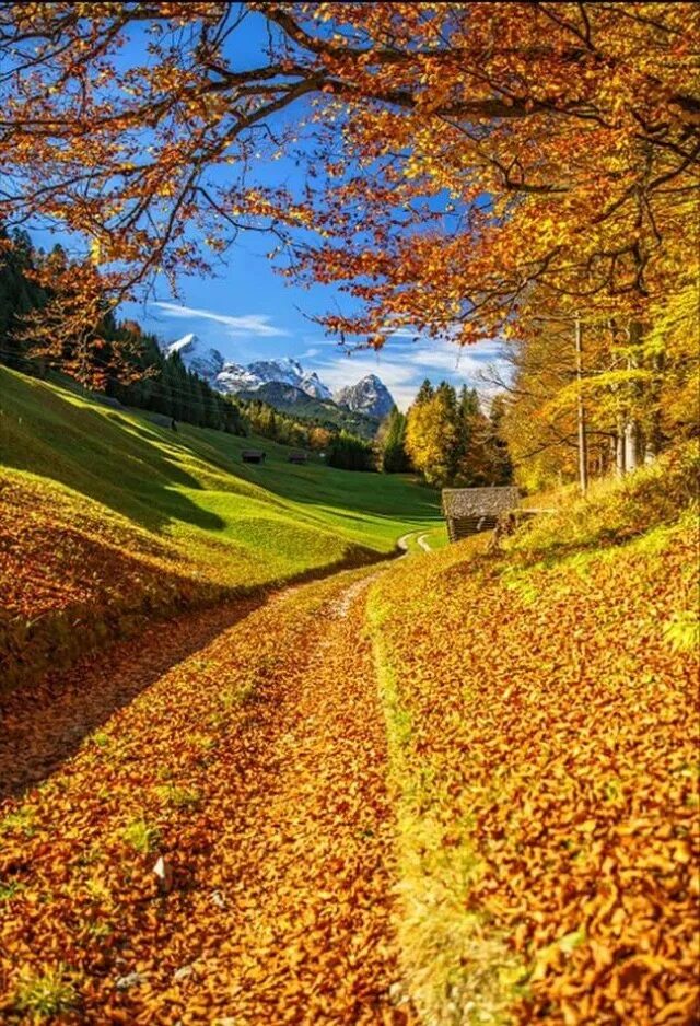 Пейзаж осень фото красивые природа Бабульки рулят!!! ВКонтакте Autumn scenery, Autumn landscape, Beautiful nature