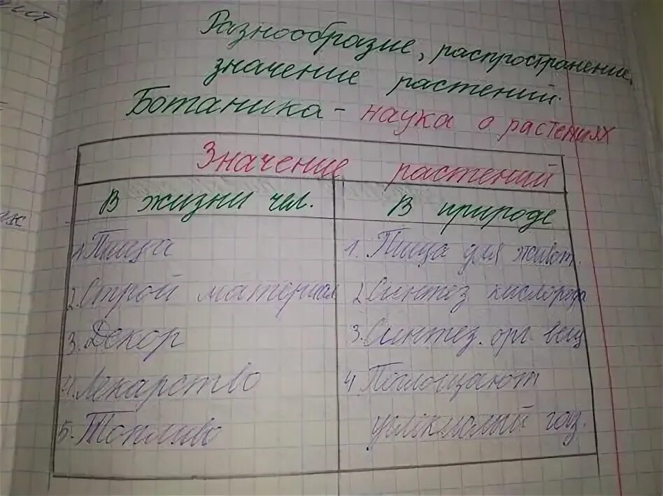 Заполните таблицу человек и животное Древнейшие люди таблица по истории 5 класс