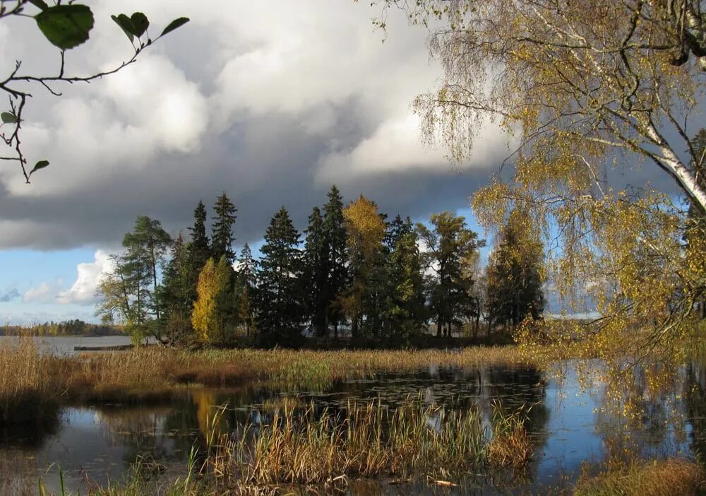 Уж небо осенью. Лето осенью дышало. Небо осенью дышало. Фотоконкурс уж небо осенью дышало. Караван тянулся