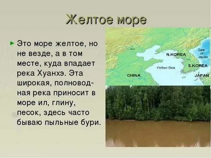 Крупнейшая река впадающая в это море