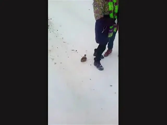Упал быстро. Упал быстро