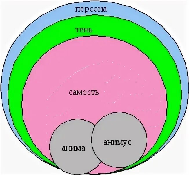 Самость юнга. Самость Юнг. Самость тень персона Анима Юнг. Архетипы Анима Анимус Самость.
