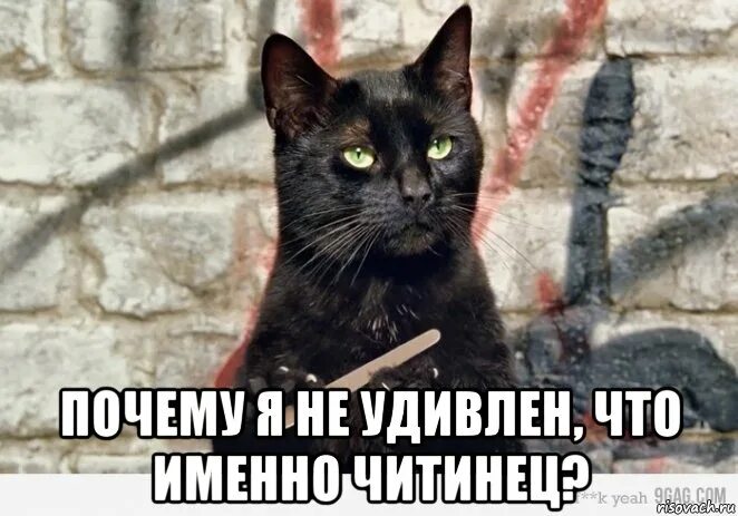 Не со мной удивлен. Не со мной удивлен. А я не удивлён мем. Не со мной удивлен. Не со мной удивлен.