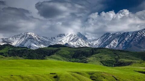 Ала бела