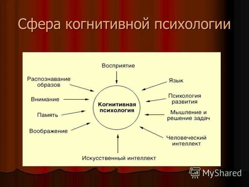 Сознание и когнитивные процессы