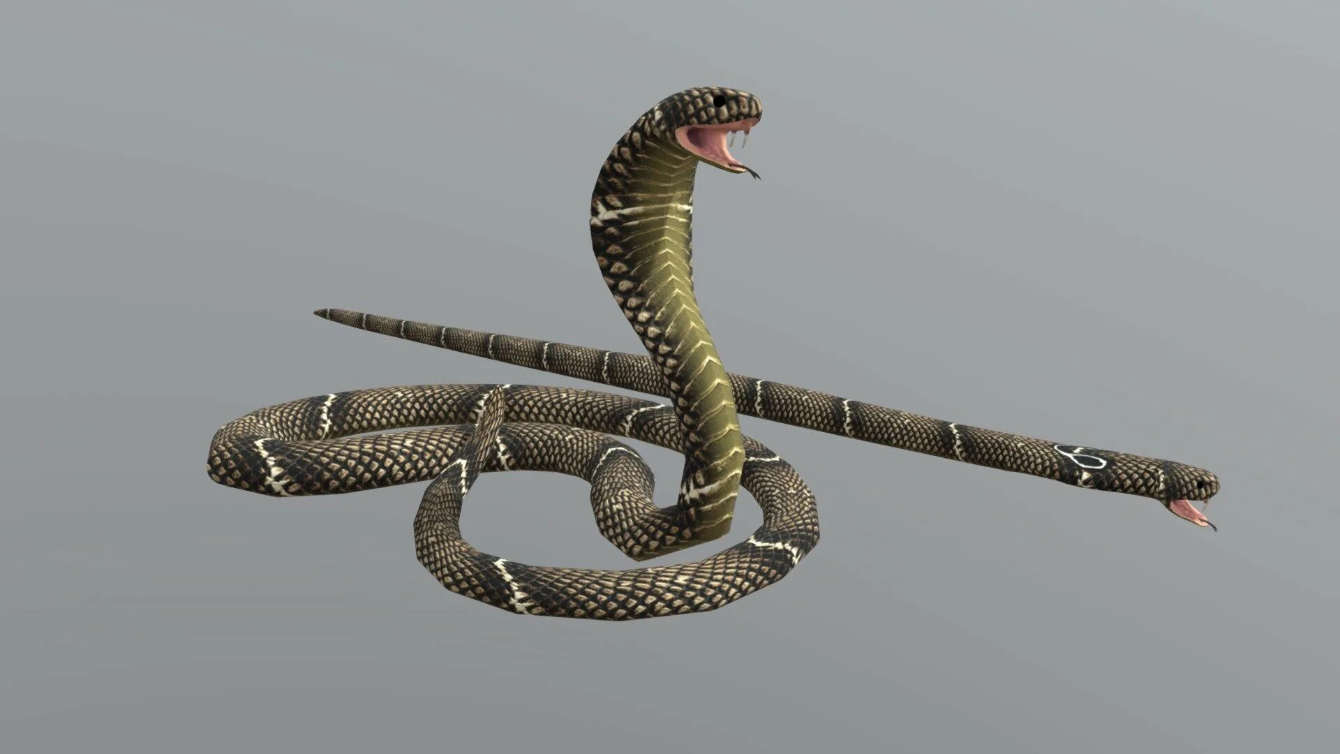 D snake. Пятиголовая Кобра 3dмодэль. Снейк змейка 3. Cobra 3d model. ДЕАГОСТИНИ Королевская Кобра.