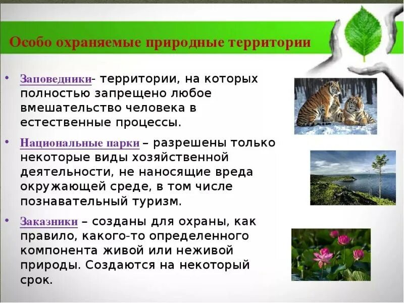 Природа находится под охраной