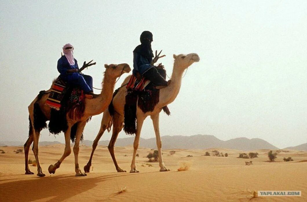 Занятия людей в пустыне