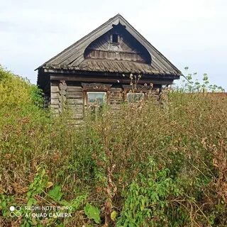 Мочалей нижегородская область