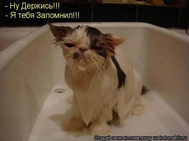 прикольные рисунки. картинки со словом держись. открытка «поддержка». сборная союза ну держись моя жизнь. ну держись моя жизнь.