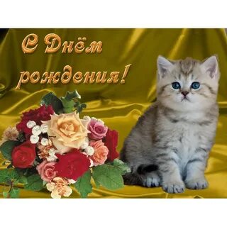 С днем рождения женщине красивые с кошками