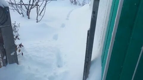 Белый снег заметает подъезды козерог начинает разбег