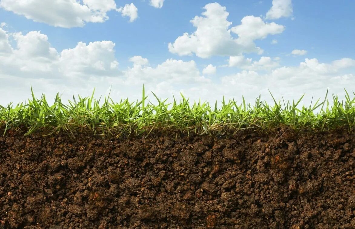 Гипотеза расширяющейся земли. Почему растет земля. Почва презентация. Почва это верхний плодородный слой земли. Гипотеза расширяющейся земли.