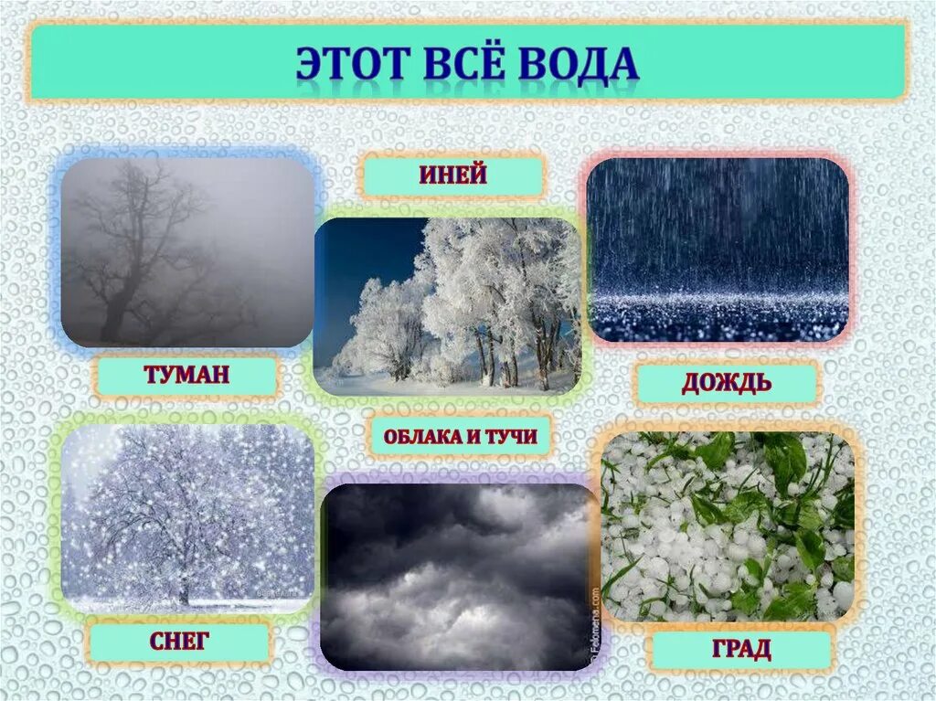 Туман в каком состоянии находится вода. Дождь снег град. Осадки в виде снега. Иней это явление природы. Состояния воды для дошкольников.