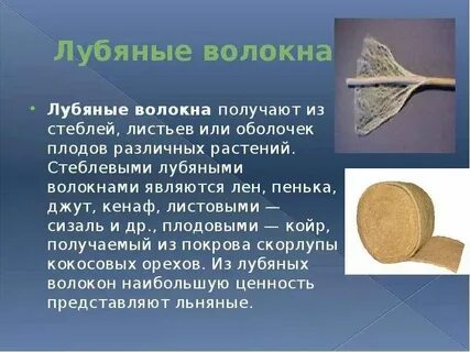 Древесина волокна какая ткань