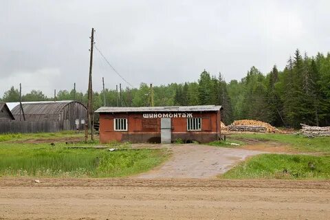 Гайны