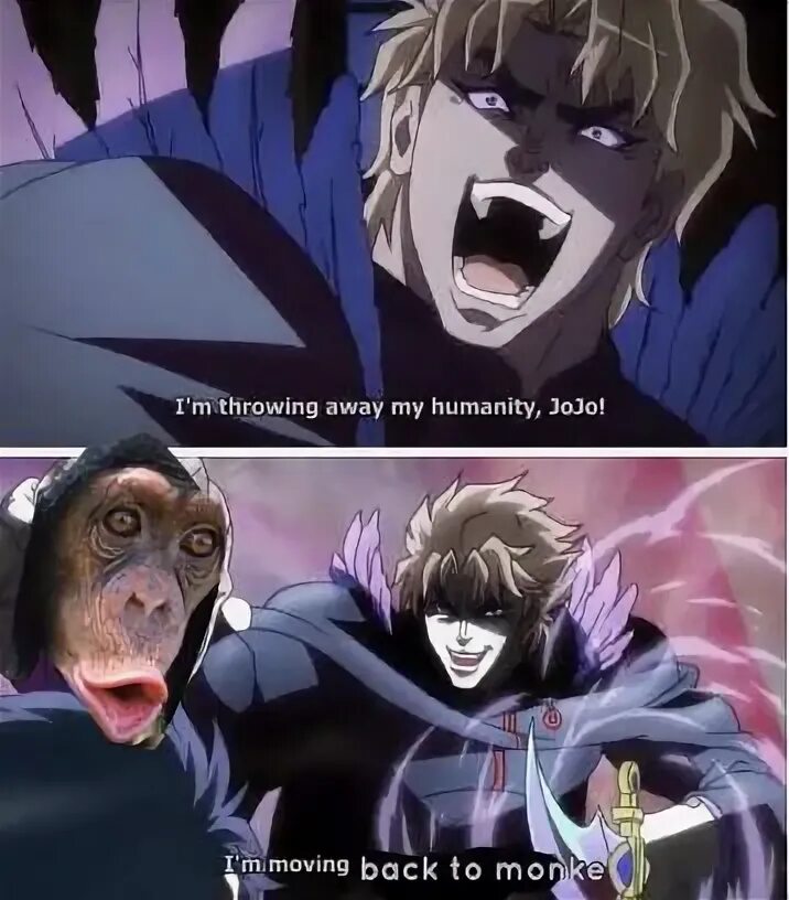 I reject them both. Обезьяна джоджо. reject humanity return to monkey. reject humanity return. reject humanity return to monkey мем.