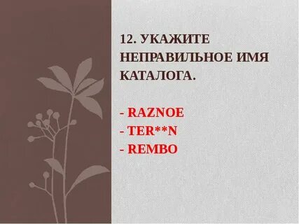 Указанный каталог неверен