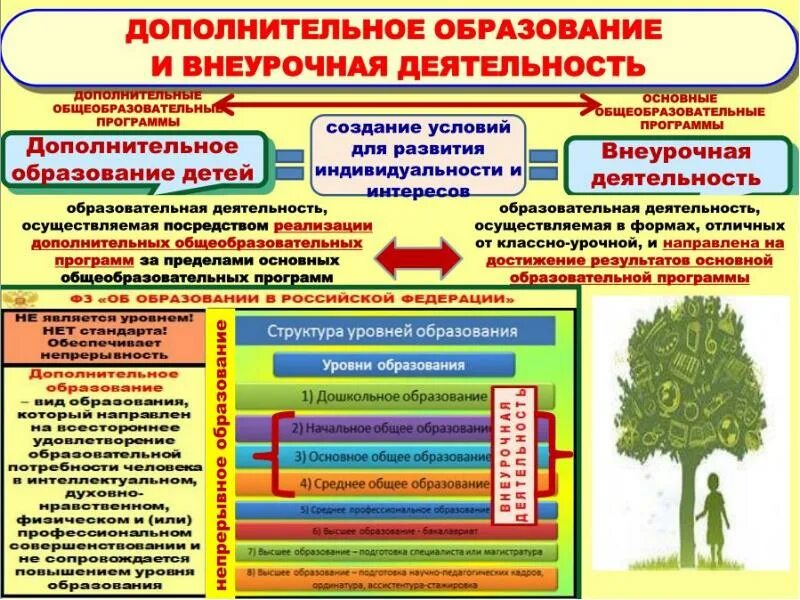 Какое дополнительное образование. Программы дополнительного образования. Программа дополнительного образования в школе. Дополнительные программы в доп образовании. Виды деятельности программы дополнительного образования детей.