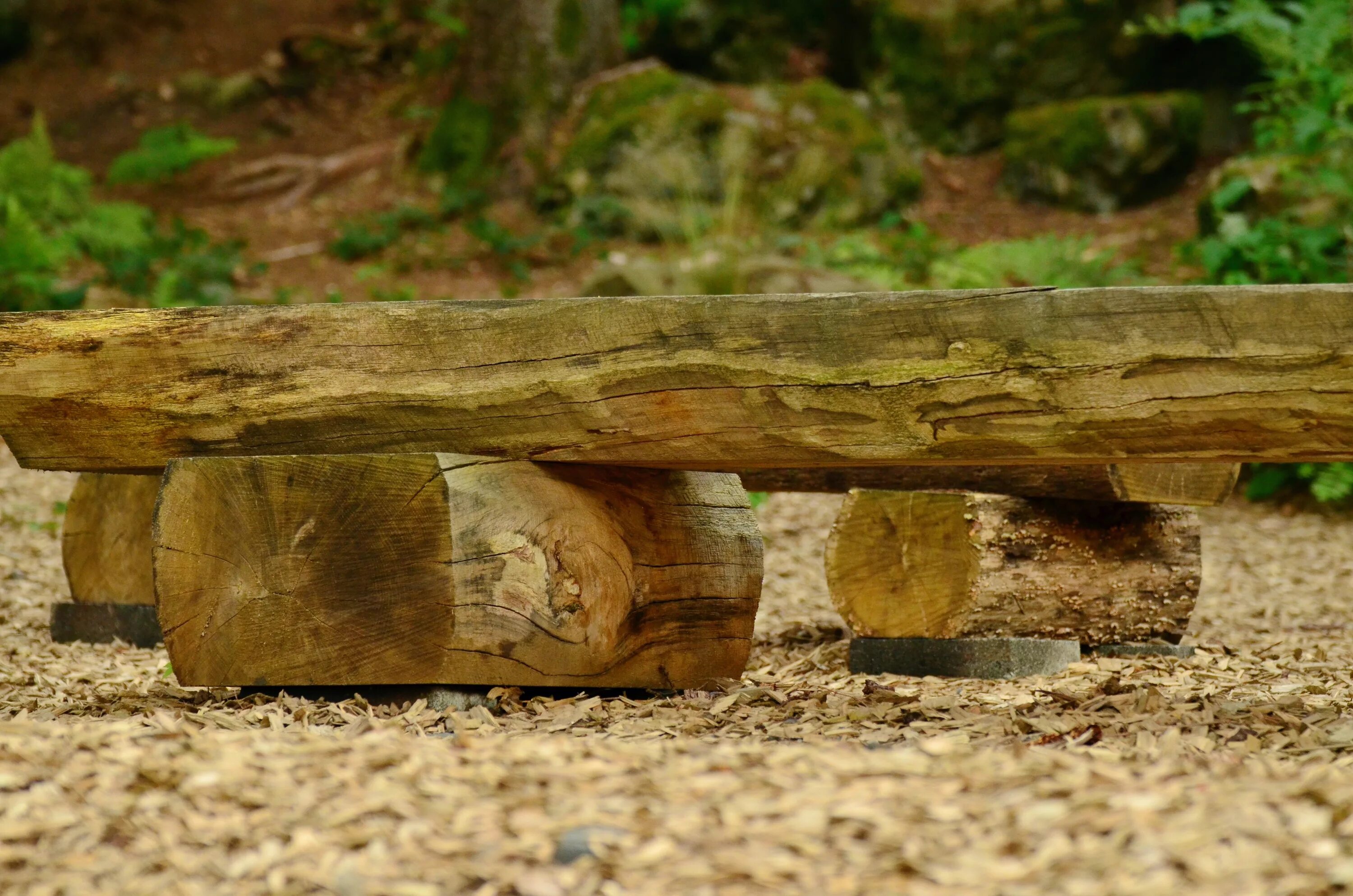 Камень дерева. Лесная скамейка. Деревянные Лесные скамейки. Бревно скамейка в лесу. Камень под дерево.