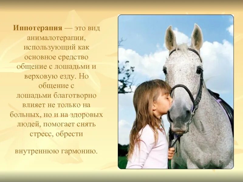 Произведения о лошадях 7 класс. Общение с лошадью дети. Анималотерапия иппотерапия. Иппотерапия презентация. Стихи про лошадей.