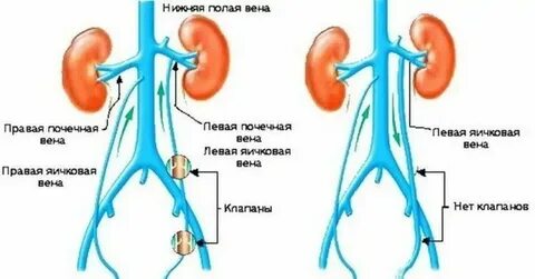 Почему болит яйцо когда трогаешь