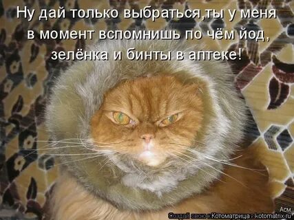 Очень похолодало