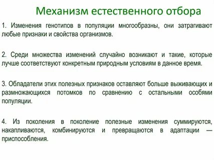 Основным причинам естественного отбора