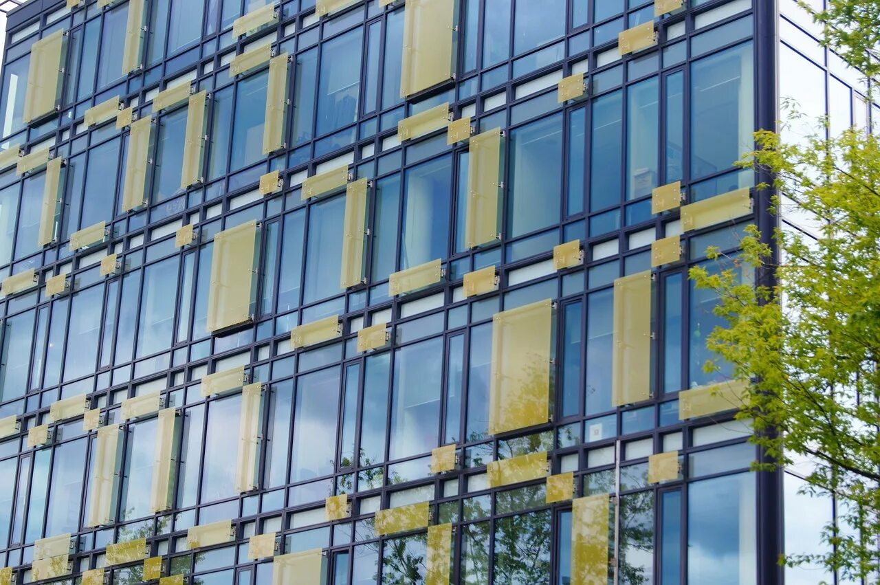 Build window