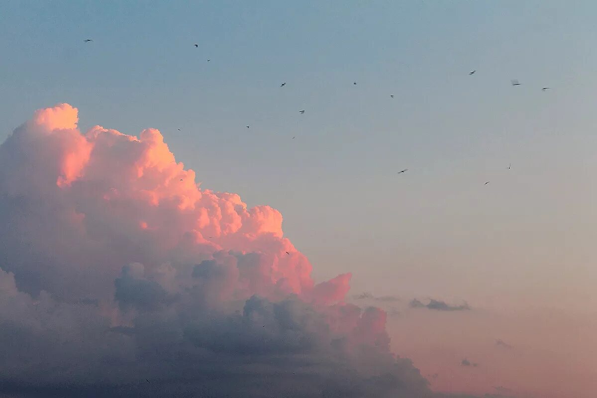 неванильное небо