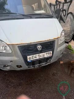 Нашли газель