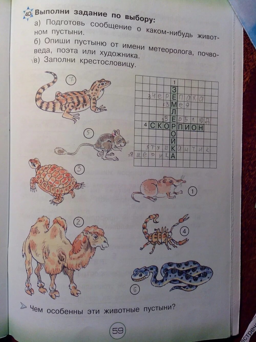 Окружающий мир страница 59 упражнение 3. Окружающий мир 4 класс рабочая тетрадь страница 59. Окружающий мир 4 класс рабочая тетрадь стр 59. Окружающий мир 4 класс рабочая тетрадь 1 часть страница 59.