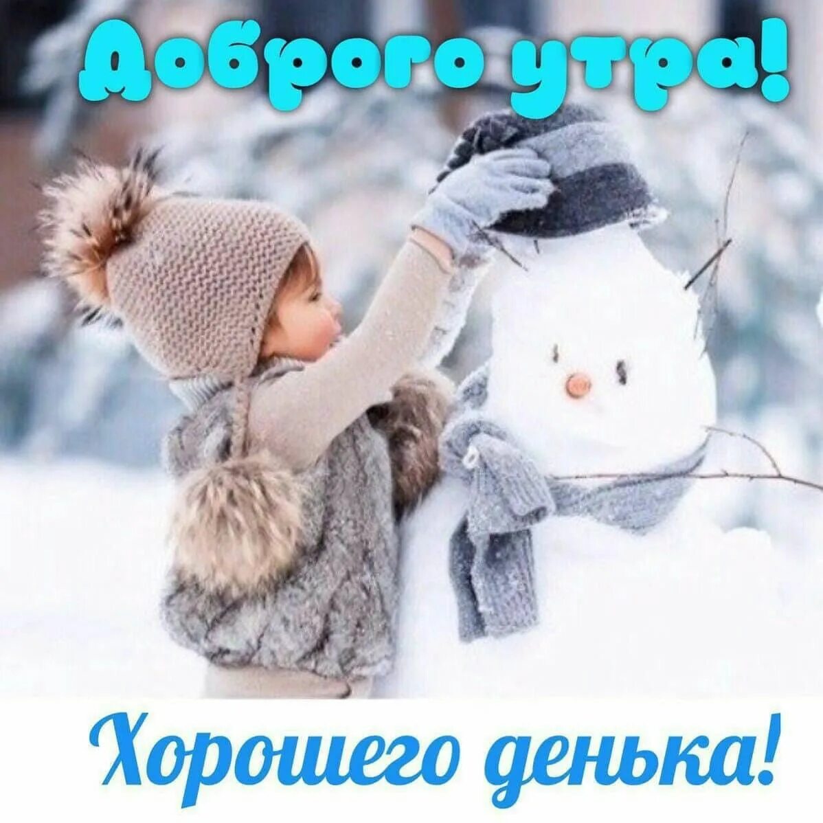 Милая открытка с проснувшимся котиком Смешные фотографии кошек, Милые открытки, 