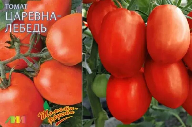 Томат царевна лебедь f1. Томат черный мавр гавриш. Томат царевна-лебедь красный f1. Томаты царевна описание. Помидоры царевна лягушка описание сорта фото отзывы.