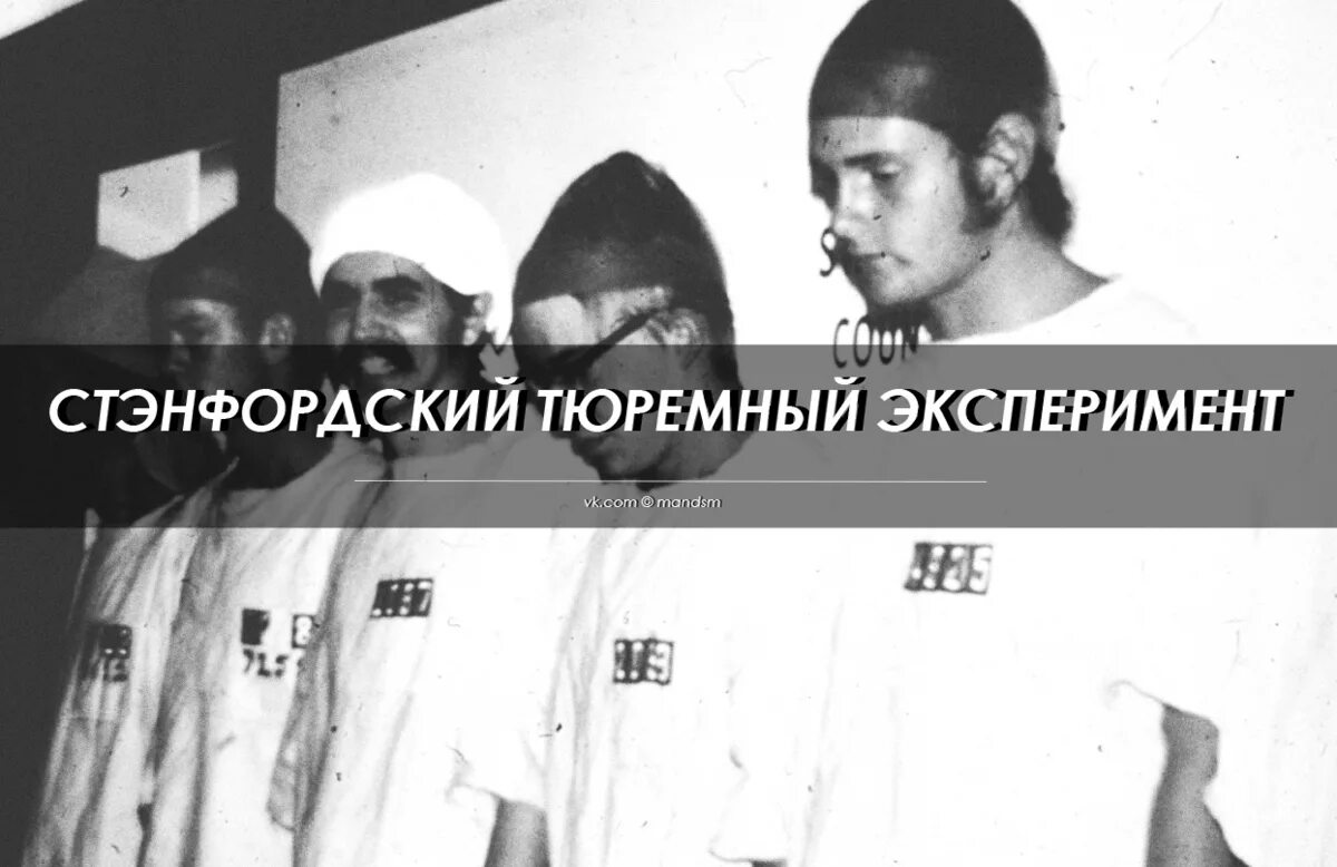 Эксперимент похожий. Стэнфордский тест. стэнфордский тест достижений. стэнфордский психологический тест. стэнфордский эксперимент с маршмеллоу.