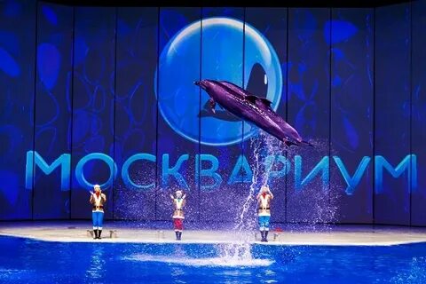 Шоу буря остров волшебства