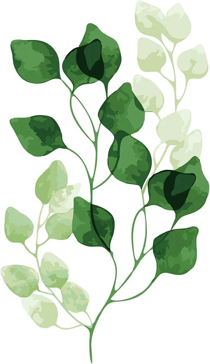 Постеры на стену зелень. Постеры зелень для печати. Декор стены зелеными листами. Рисунок растений на стене. Plant series