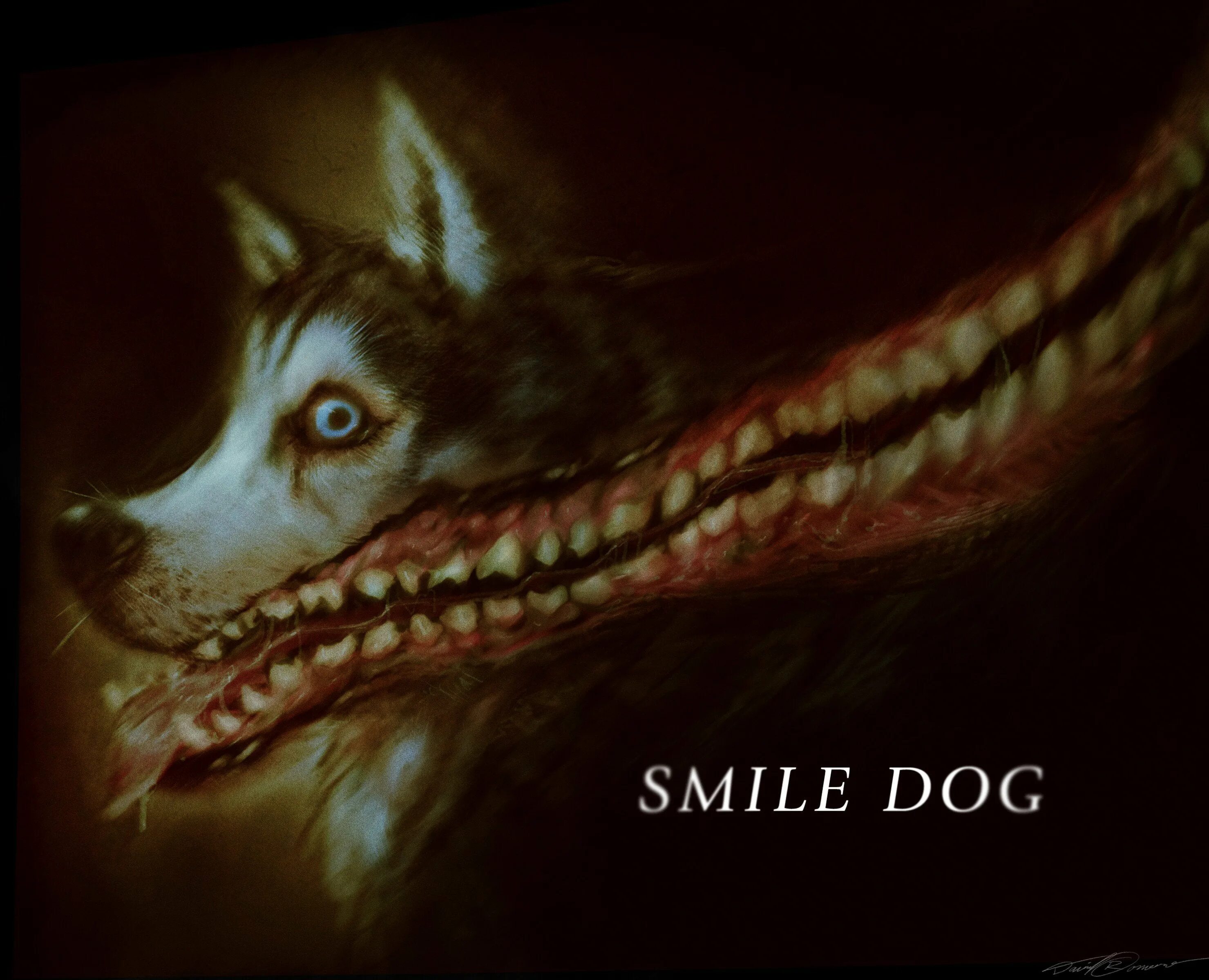 Включи страшную собаку. Собака улыбака крипипаста. Крипипаста улыбающийся пес дог.