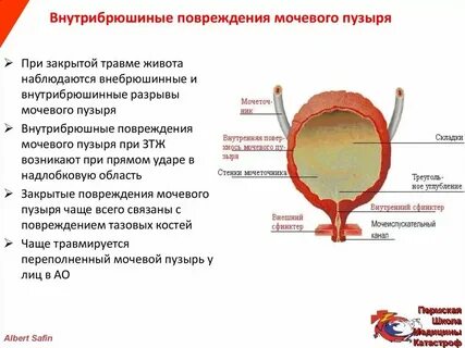 Мочеиспускание при родах