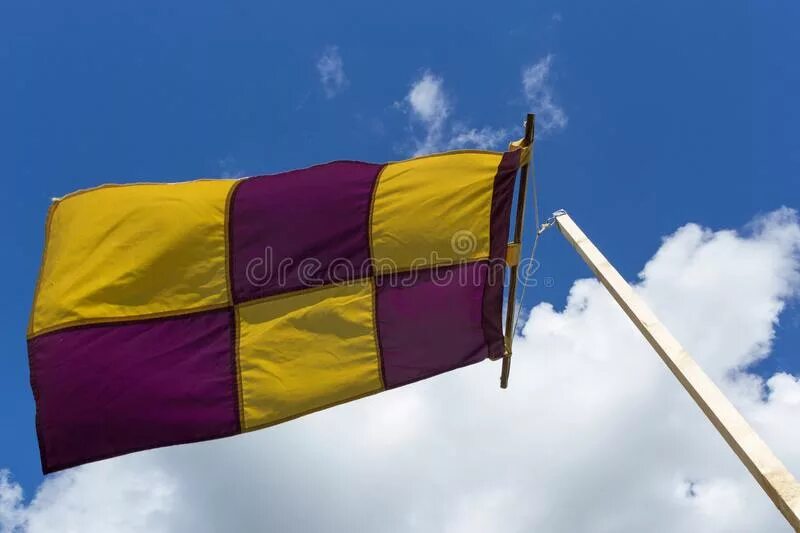 Желто фиолетовый пифлаг. Желто фиолетовый флаг. Желто фиолетовый флаг. Флаг небинарности. Желтый белый фиолетовый флаг.