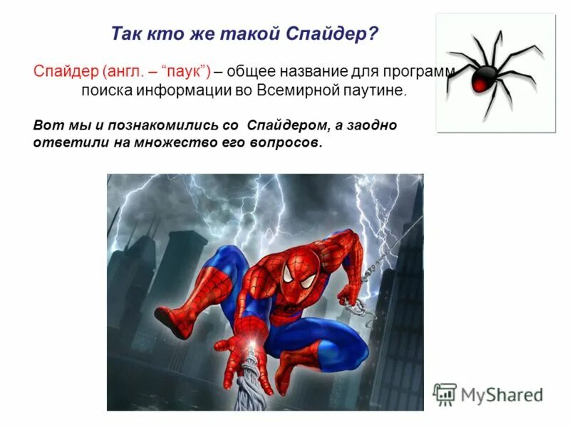 Спайдер кей. Презентация на тему пауки англ яз. Спайдермен на английском. Как на английском человек паук.