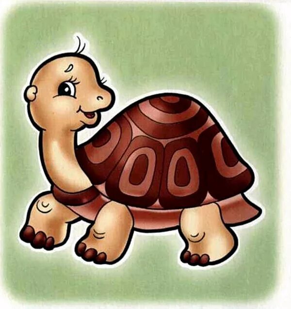 Черепаха белка. Черепашка для детского сада. черепаха для детей. черепаха в детском саду. изображения черепахи для детского сада.