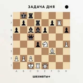 Имя шахматиста 4 буквы