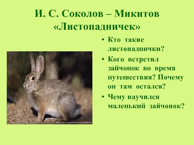 Рассказы люби живое 3 класс. Листопадничек. Листопадничек Соколов-Микитов. Кто такие листопаднички. Зайчики листопаднички статья.