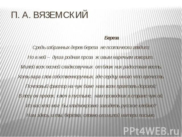 Вяземский береза. Вяземский береза стих. Стих п а Вяземского берёза. Вяземский стихотворение берёза анализ.