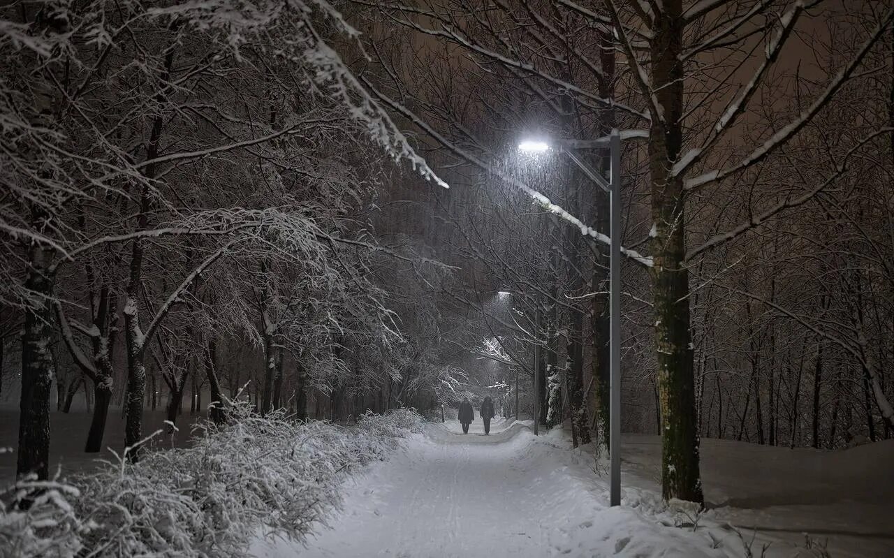 Снегопад фонарь. Сильный снег ночью