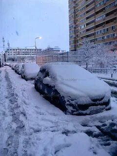 Пока снега