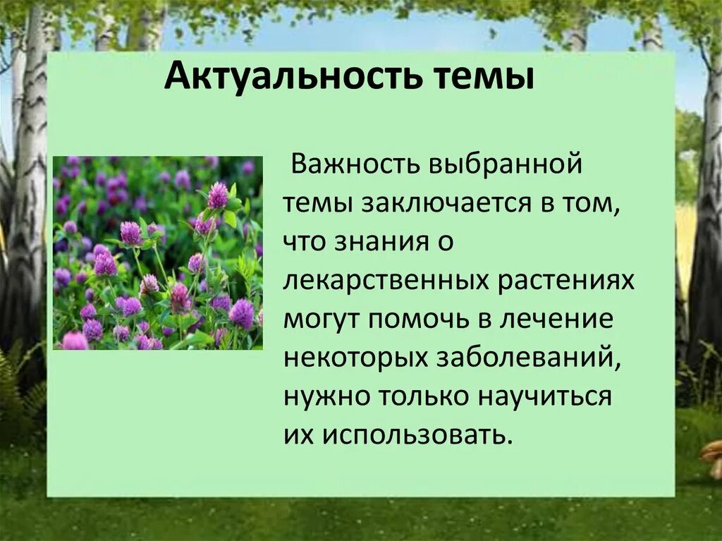 Презентация к внеклассному мероприятию
