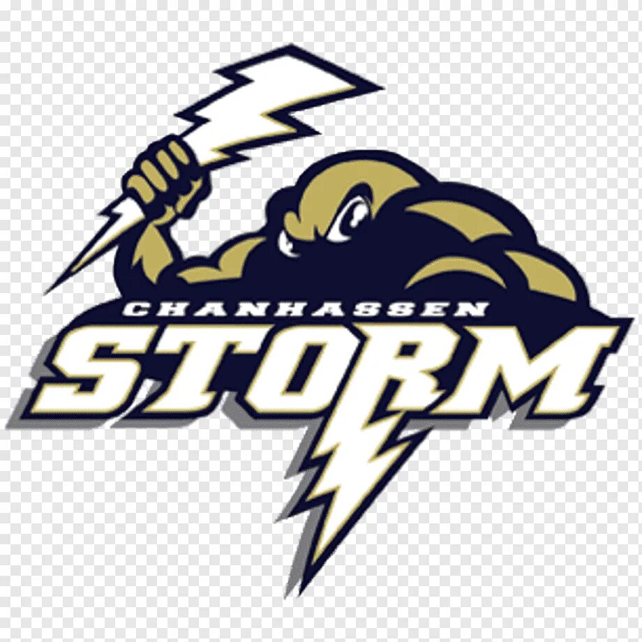 Шторм эмблема. Буря логотип. Шторм логотип. Логотип команды шторм. Шторм эмблема.